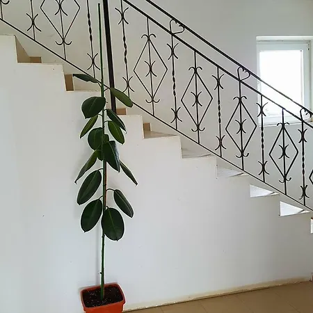 Appartamento Casa Dori
